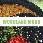 Load image into Gallery viewer, Woodland Moon - PDF Pattern
