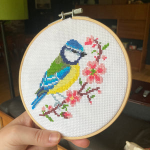 Blue Tit & Blossom - Printed Pattern