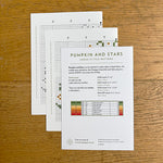 Load image into Gallery viewer, Pumpkin and Stars - Printed Chart
