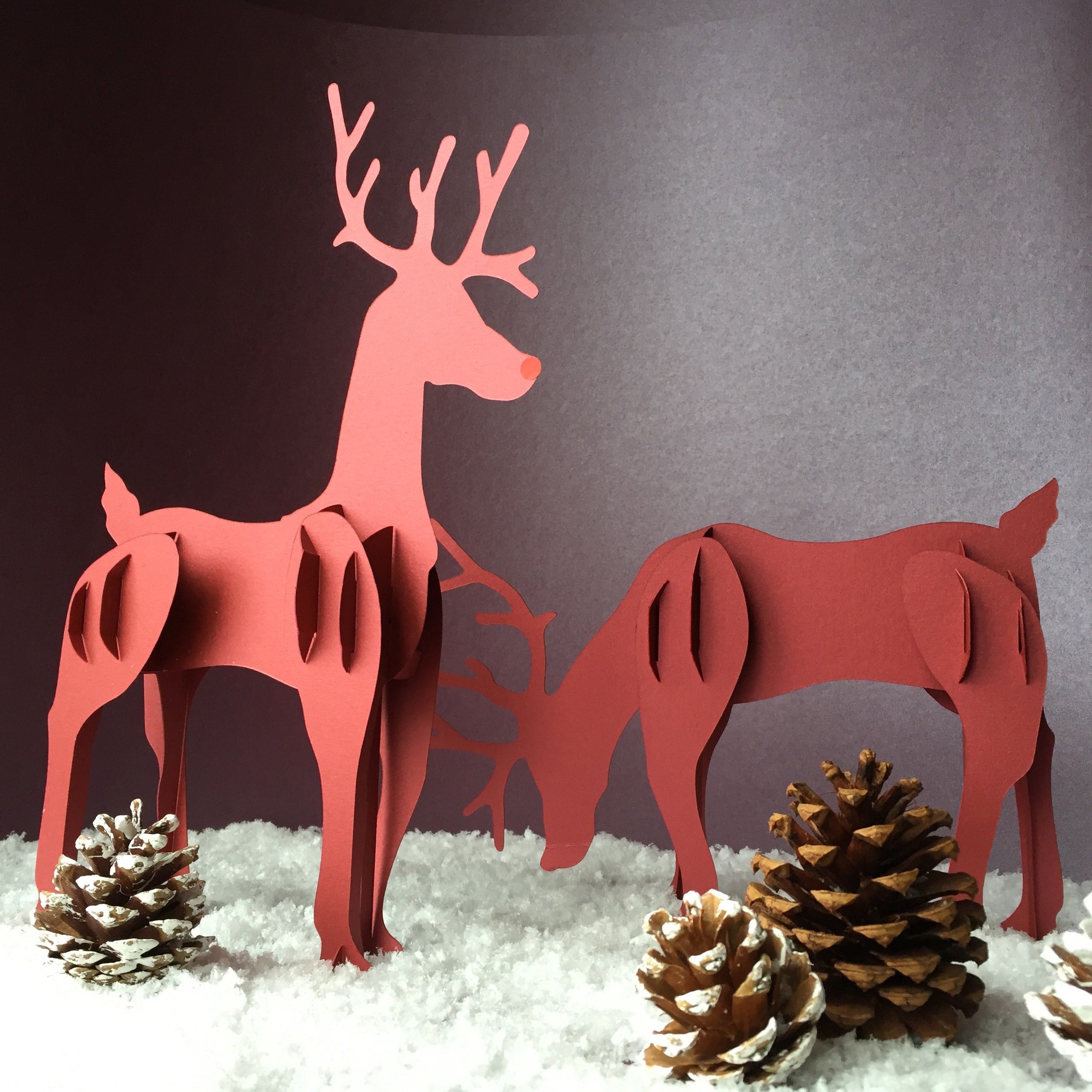 Decorate it Yourself - Rudolf and Friend Reindeer Kit